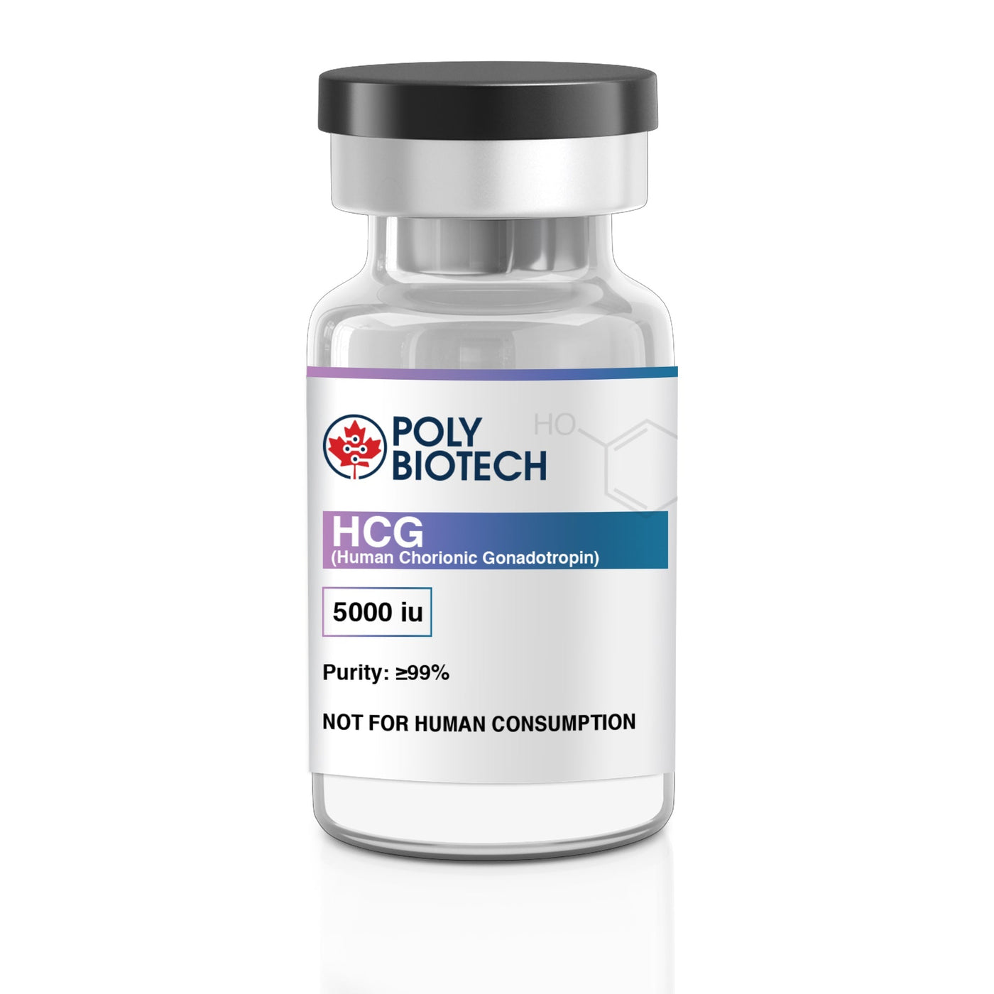 hCG for PCT (Post-Cycle Therapy) - Complete Research Guide